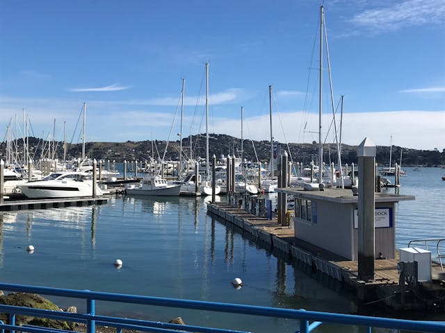 Family-Friendly Pontoon Rentals